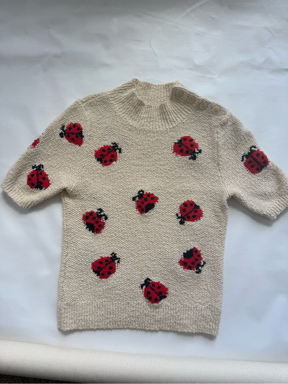 Maeve Cream Sweater with Red Ladybug Motif